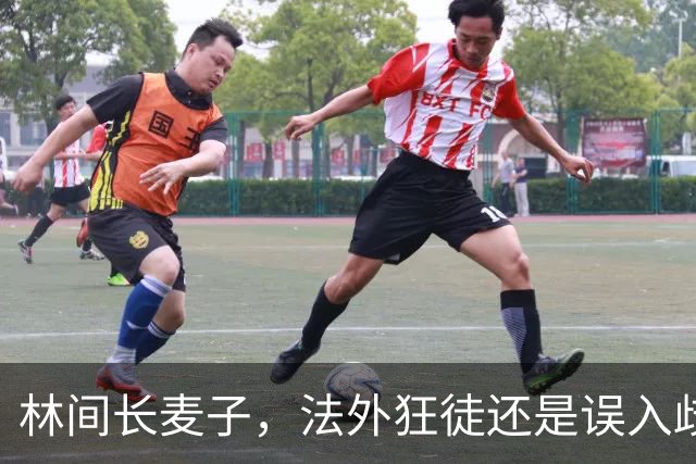 林间长麦子，法外狂徒还是误入歧途？
