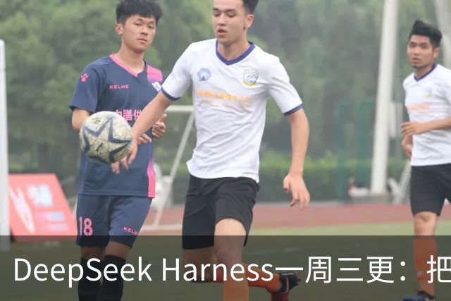 DeepSeek Harness一周三更：把Claude Code和Codex收编成子代理，要当Agent时代的"调度层"？